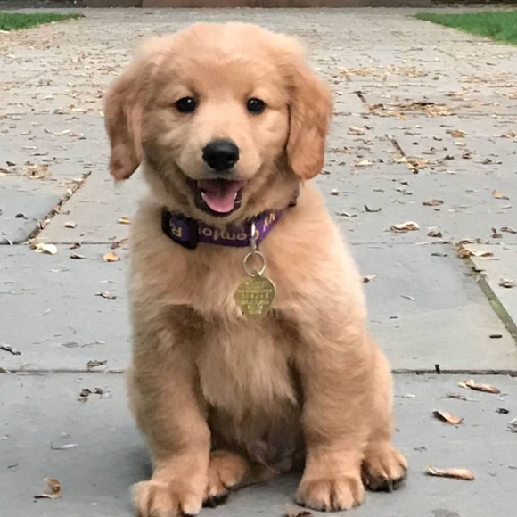 Meet your Posher, Kailey - Picture 1 of 1